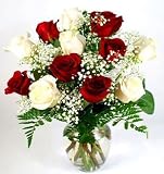 Send Fresh Cut Bulk Flowers - Long Stem Candy Cane Rose Bouquet