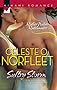 Sultry Storm (Kimani Romance)