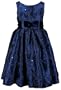 Sweet Heart Rose Girls 7-16 Embroidered And Sequin Taffeta Dress