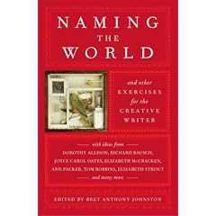 Naming the World: And Other Exercises for the Creative Writer