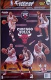 Fathead Chicago Bulls 2010-2011 Team Set Wall Graphic
