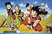 Dragonball Z - Manga / Anime TV Show Poster (Goku & Friends) (Size: 34" x 22")