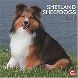 Shetland Sheepdogs 2011 Square 12X12 Wall
