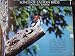 60 Songs of Eastern Birds by Donald J. Borror LP