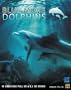 Blue Move: Dolphins