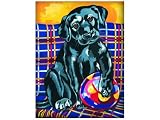Eigenschaften Mammut A30PPNJ54 / Mammut A30PPNJ54 - MnZ Schw Labrador 23 x 30 cm