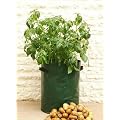 GROW PERFECT POTATOES HEAVY DUTY TUB SACK PATIO BALCONY