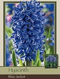 Hyacinth Blue Jacket