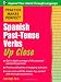 Practice Makes Perfect: Spanish Past-Tense Verbs Up Close (Practice Makes Perfect Series)