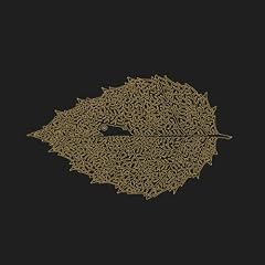 Between Leaves/Forestal