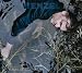 Hans-Eckardt Wenzel �Kamille und Mohn�