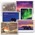 New Year Holiday Card Assortment - II, box of 12 cards & envelopes