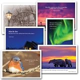 New Year Holiday Card Assortment - II, box of 12 cards & envelopes