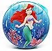 Blue Ariel CD Holder/Case,Disney Princess CD Holder/Case also available!