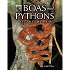 Boas and Pythons of the World by  Mark O'Shea