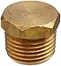 Lead Free Pipe Fitting, Hex Head Plug, 1/4
