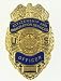 U.S. Citizenship and Immigration Services Mini Badge Lapel