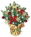 Live Tabletop Christmas Tree with Christmas Decorations & Lights