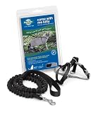 Come With Me Kitty Harness and Bungee Leash, Large, Black