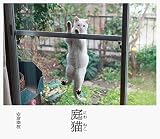 庭猫