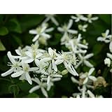 ���i�̏ڍ�