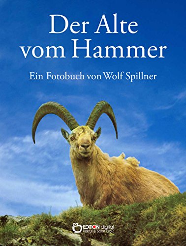 Der Alte vom Hammer: Eine Bilderbuchgeschichte aus den Bergen der Schweiz (German Edition)