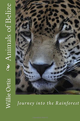 animals of belize journey into the rainforest