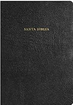 RVR 1960 Biblia de Estudio Arco Iris, negro piel fabricada (Spanish Edition)