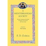 a mediterranean society the jewish communities of the arab world as portrayed in the documents of the cairo geniza