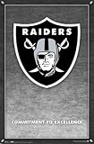 Oakland Raiders 2007 Nfl Team Logo Poster 22.5X34 4364