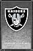 Oakland Raiders 2007 Nfl Team Logo Poster 22.5X34 4364