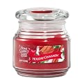 Yankee Candle&reg; Home Classics Jar Candle - Holiday Cinnamon (7 oz)