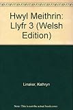 Hwyl Meithrin