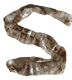 Ladies Music Gold and Cream Notes and Instruments Satin Stripe Scarf