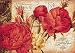 Another Good Year by Joadoor . ART PRINT Canvas Rolled. 28.00 inches width by 20.00 inches height. Highest Quality Art Poster Print