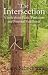 The Intersection: A Book About Faith, Patriotism and Personal Fulfillment