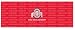 Ohio State Buckeyes Team Auto Rear Window Decal