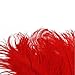 10pcs Home Decor Red Ostrich Feathers