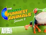 play video on Amazon Instant Video