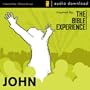 John: The Bible Experience