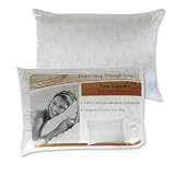 Simmons Firm Support Bronze Jumbo Pillow