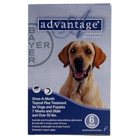 Advantage - Blue Box for Dogs over 55 pounds - 6 pack