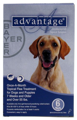Advantage Dogs 21-55 lb 6pk