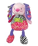 Knowing God: Walking through the Book of Books