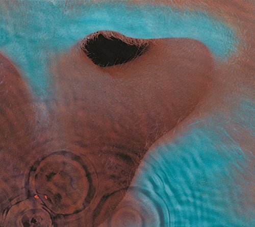 Album Art for Meddle by Pink Floyd