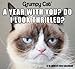 Grumpy Cat 2015 Calendar