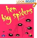 Ten Big Spiders
