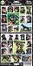 Pet Qwerks S37 Rottweiler Dog Sticker