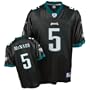 Reebok Philadelphia Eagles Donovan McNabb Replica Alternate Jersey Large