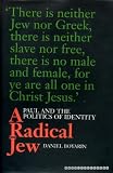 A radical Jew : Paul and the politics of identity